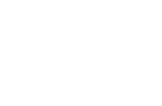 The Law Society Logo